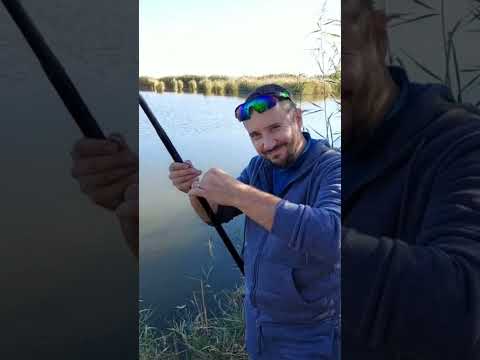 THIS IS A WORK OF ART! #shorts #fishing #pescuit #balta #youtubeshorts #mmafishingteam #angler #carp