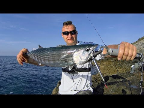 Red Porgy, Atlantic Bonito. Micro&Light shore jigging. 08.11.2018