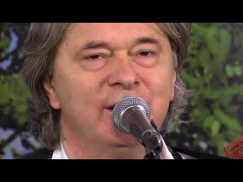 NAJBOLJI HRVATSKI TAMBURAŠI   U san mi dođu tambure