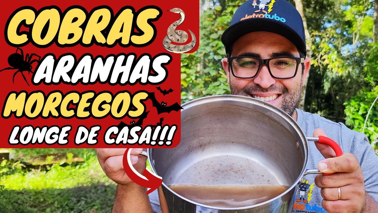 ✅ DEFINITIVE SOLUTION to KEEP SNAKES, SPIDERS and BATS AWAY from your HOME