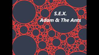 S.E.X. Adam &amp; The Ants