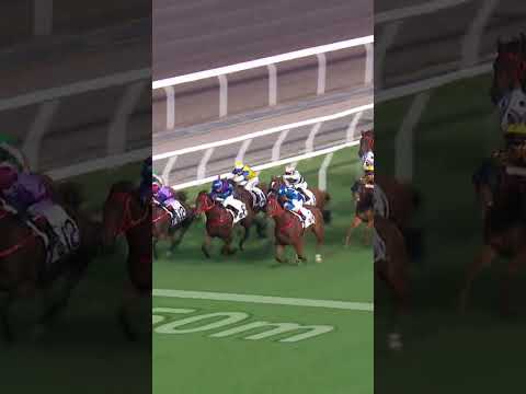 LUCKY WITH YOU E356 - A  Atzeni @racingshorts272