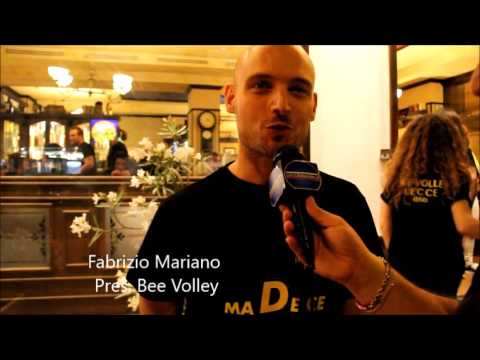 Bee Volley: a tutta... D