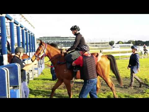 GaiTV - Delirium - jumpout