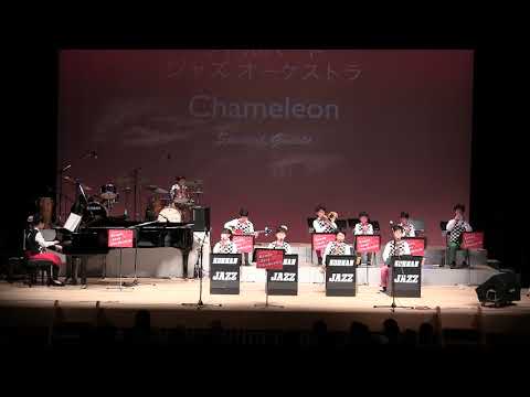 カメレオン｜リトルバードジャズオーケストラ