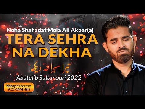 Azadari Chitora and Azadari Chitora 2.0