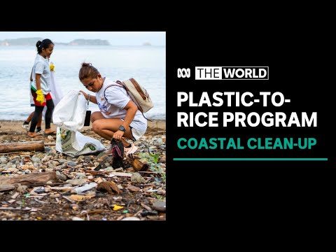 Philippines’ environmental project that’s feeding locals | The World