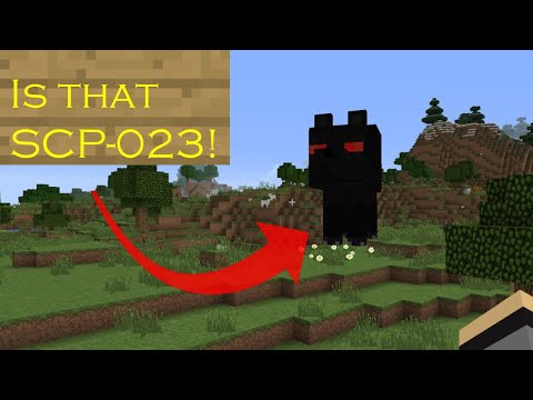 WE FOUGHT AGAINST BIG SCP-023 ON THE SERVER!