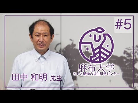 動物種横断的ゲノム解析による家畜化関連遺伝子の探索