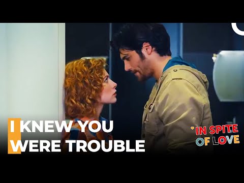 Bickering Like an Old Married Couple 🤼‍♂️💕 - In Spite of Love