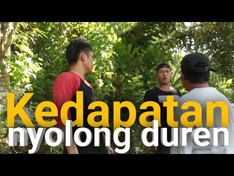 nyol0n9-duren-meratu