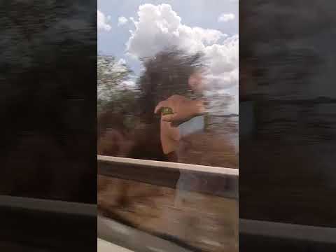 açude Forquilha 3/1/26