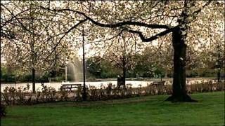 MURPHY'SLAWS3Ep6.mp4