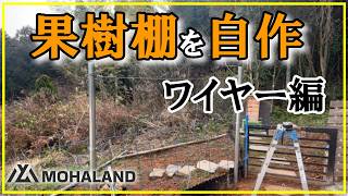 果樹棚DIY｜ワイヤーの張り方とコツ【初心者OK】