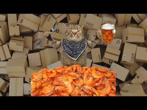 Утром - деньги, а когда же стулья?..📦 ➤ Кошка Чечня БлоХер