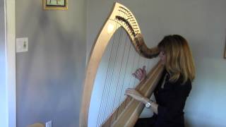 Make You Feel My Love - harp cover - Michelle Whitson Stone