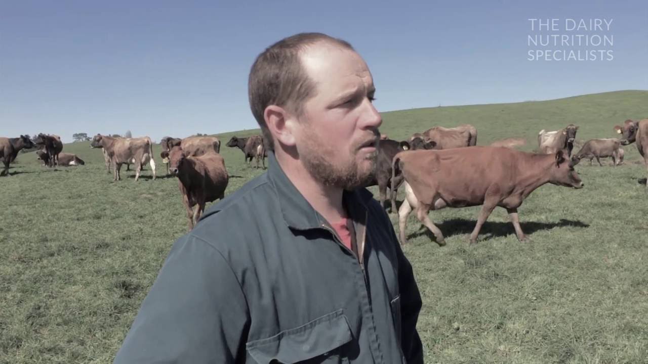 Matthew’s thoughts on progress - Mid September 2016