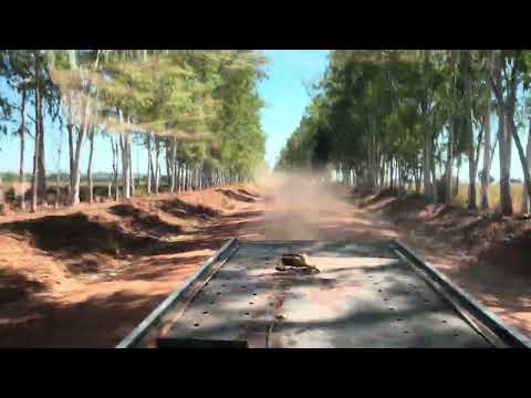 Linda paisagem próximo a Castanheiras  RO