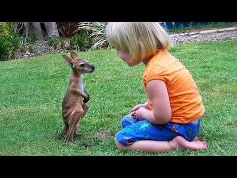 Vous n'arrêterez pas de dire 'waw' après ça ! 🥰 Les plus beaux moments de bébé et d'animaux !