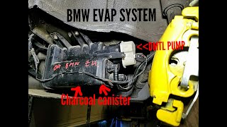 BMW DMTL pump EVAP system description.