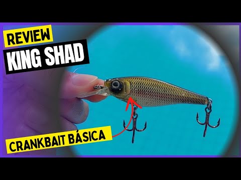 Marine Sports King Shad,  isca artificial de meia água para pescaria de tucunaré.