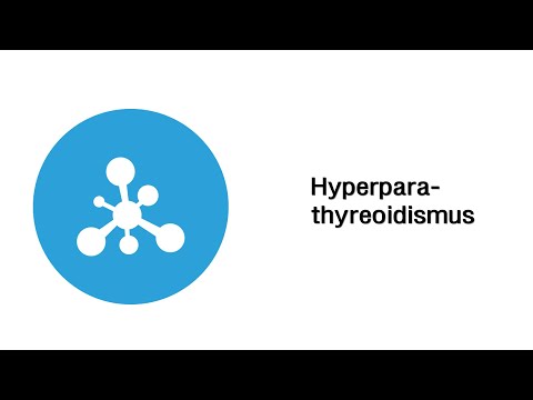 Hyperparathyreoidismus (Überfunktion der Nebenschilddrüse) - Endokrinen Organe (mit Infoleiste)