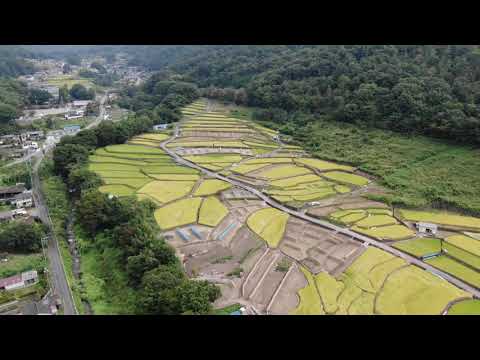 「御領棚田」を空から見てみよう！
