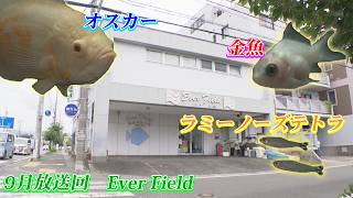 ペットずかん 9月放送回　Ever Field