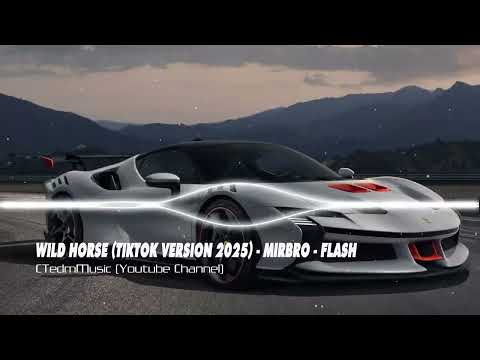 WILD HORSE (TIKTOK VERSION 2025) - MIRBRO - FLASH