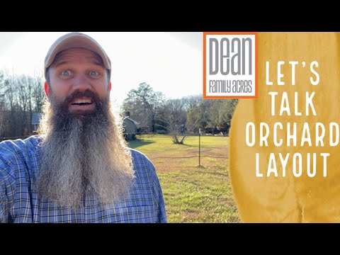 Starting our Blueberry Orchard and more Muscadine Expansion - EP 129
