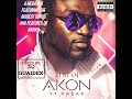 DJ QUAIDEX - Best of AKON (The best and most popular songs and features of Akon) - PARTY MIX