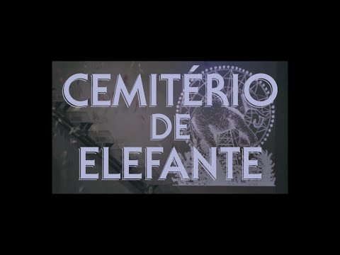 Selton - Cemitério de Elefante
