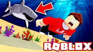 Roblox Shark Attack Free Online Games - megalodon shark bite roblox