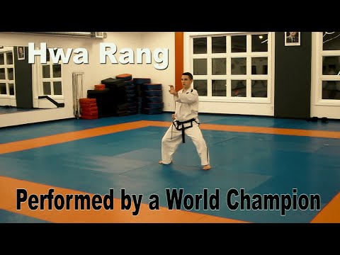 Hwa Rang performed by Joel Denis