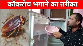 fridge mein cockroach ho jaye to kya karen | how to clean refrigerator door rubber | in hindi video