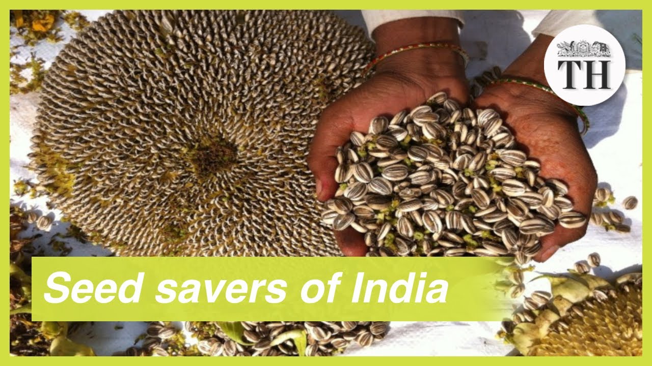 Seed Saver: One Man Story of Ensuring Seed Diversity Seed Saver: One Man Story of Ensuring Seed Diversity