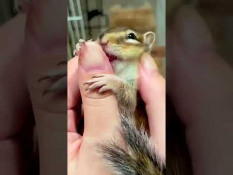 😚☺🤗🤩😍😋