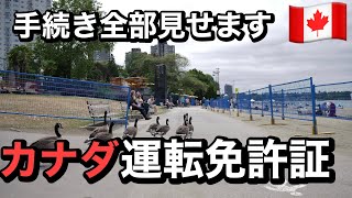 【バンクーバー】日本の運転免許証がカナダで最強/テストなしで取得可能