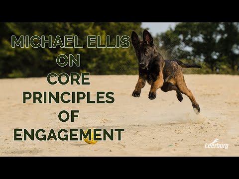 Michael Ellis on Core Principles of Engagement