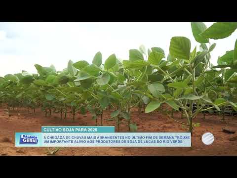 Chuvas favorecem a soja em Lucas do Rio Verde, mas clima úmido alerta para doenças