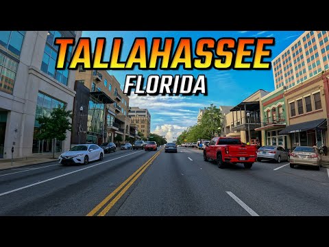 Driving in Tallahassee Florida