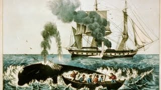 Ger Loughlin - Greenland Whale Fisheries