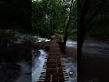 Unakul Naane Shorts Shortsfeed Viral Trending Reels Nature Naturelovers Travel Rainsounds