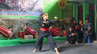 Download lagu GADJAH PUTIH JATIWISESA - WINAURA JATIWISESA (IBING KATEGORI REMAJA PUTRI) mp3 Download lagu GADJAH PUTIH JATIWISESA - WINAURA JATIWISESA (IBING KATEGORI REMAJA PUTRI) mp3