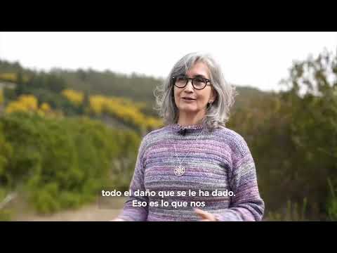 Raquel Villaseñor Rodríguez-1