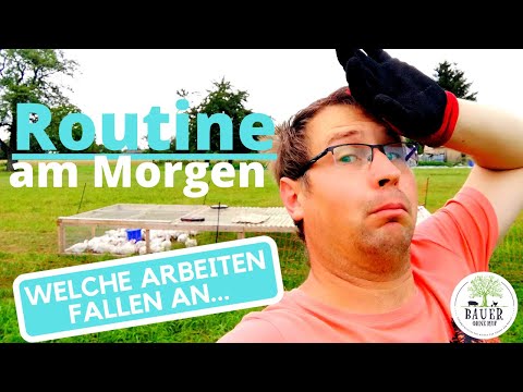 Routine für Hühnerhalter - welche Arbeiten falle an (Teil 1)