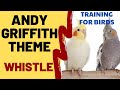 THE ANDY GRIFFITH SHOW THEME WHISTLE - Cockatiel Singing Training - Bird Whistling Practice