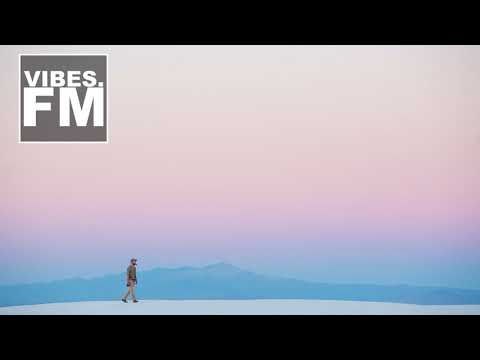 L'aupaire - Flowers (Freischwimmer Remix)