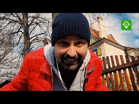 Náhled pro video reference