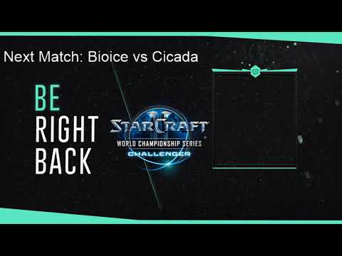 Bioice vs Cicada